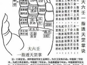 大掌门高手攻略：实战技巧解析与进阶玩法指南