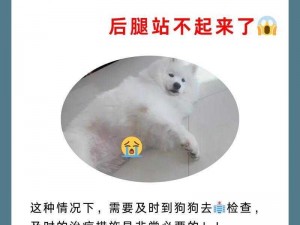 尖叫抽搐口吐白沫怎么回事-尖叫抽搐口吐白沫是怎么回事？