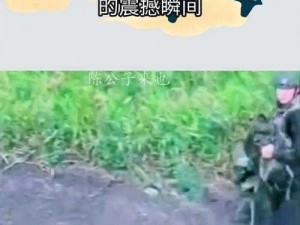 军团突袭震撼瞬间：高清截图预览揭秘战场风云