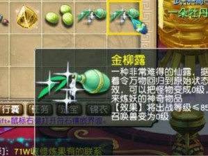 梦幻西游手游金柳露洗宝宝攻略分享：提升洗练技巧，助您轻松获取心仪宝宝秘籍