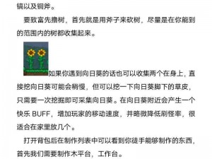 泰拉瑞亚新手攻略大全：注意事项详解与游戏指南