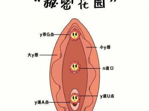 18摸(18 摸：探索未知的私密领域)