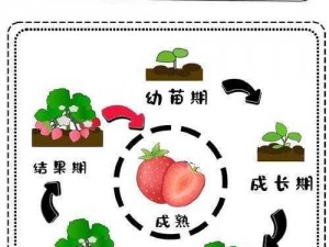 春季生长需求与配置：探寻适宜四季之春的生长要素与准备