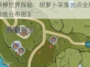 《原神世界探秘：胡萝卜采集地点全解析与路线分布图》