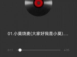 dj小莫今天夜里好寂寞歌曲伴奏(DJ 小莫：今夜寂寞相伴，求歌曲伴奏)