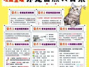 猫咪别追我：猫儿攻略手册——技巧解析与角色对局操作指南全解析