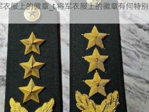 t将军衣服上的徽章_t 将军衣服上的徽章有何特别之处？