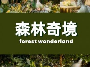 37大但人文艺术仙踪林介绍、探寻 37 大但人文艺术仙踪林的神秘面纱