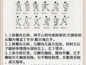 大掌门丙级武功太极剑法图鉴详解：探秘太极剑法的奥秘与实战应用