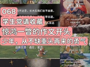 一小时人生中的铁锤锻造之旅：探索技能、时间与匠心的完美融合