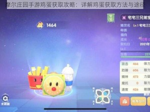 摩尔庄园手游鸡蛋获取攻略：详解鸡蛋获取方法与途径