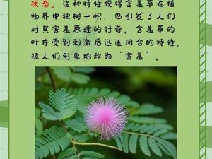 wwwwwww含羞草-含羞草为什么会害羞呢？