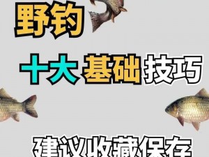 黑色沙漠手游钓鱼技巧攻略：掌握钓鱼控制要领