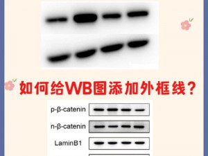 撒尿WBWBWB毛(什么情况下会问出这样的问题呢？)