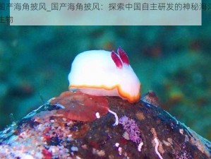 国产海角披风_国产海角披风：探索中国自主研发的神秘海洋生物