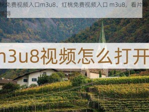 红桃免费视频入口m3u8、红桃免费视频入口 m3u8，看片神器，你懂得