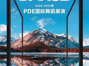 国际抖抈2024—国际抖抈 2024：一场舞动全球的盛宴