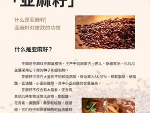 国精产品999永久麻豆的特点、国精产品 999 永久麻豆有哪些特点？