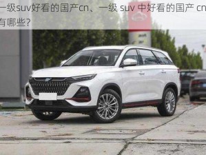 一级suv好看的国产cn、一级 suv 中好看的国产 cn 有哪些？