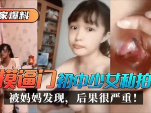 九一视频,如何看待九一视频这种资源的传播？