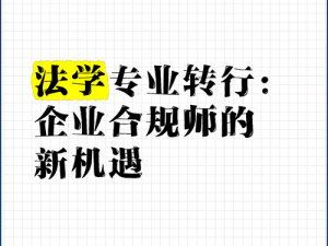 法转融合之道：探寻法律转型的精准合成路径