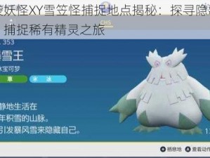 口袋妖怪XY雪笠怪捕捉地点揭秘：探寻隐藏副本，捕捉稀有精灵之旅