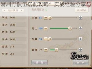 问道手游刷野队伍搭配攻略：实战经验分享与策略思考