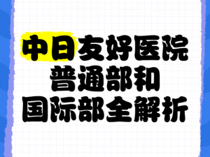 日本医院的特殊待遇5中字、日本医院的特殊待遇 5 中字：揭秘日本医疗体系的独特之处