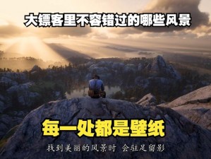 老年镖客视频播放最后一集，精彩继续，不容错过