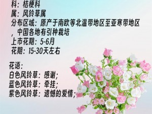 光明勇士的风铃花秘境：风铃花的采摘地点与神奇功用揭秘