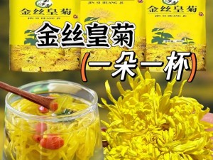 洛克王国采菊酿酒秘方揭秘：古老配方下的酿酒技艺传承与菊花香韵的融合