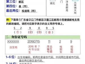 全方位解读：编号大全——知识梳理与实战应用指南