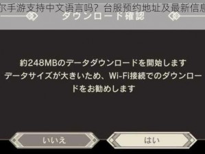 尼尔手游支持中文语言吗？台服预约地址及最新信息解析