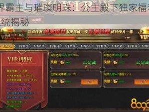 魔界霸主与璀璨明珠：公主殿下独家福利VIP系统揭秘