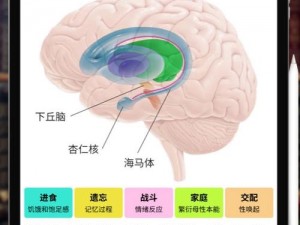 边缘控制dom(边缘控制 dom 是什么？有何特点和应用场景？)