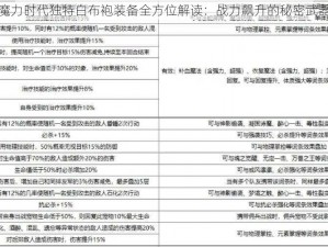 魔力时代独特白布袍装备全方位解读：战力飙升的秘密武器