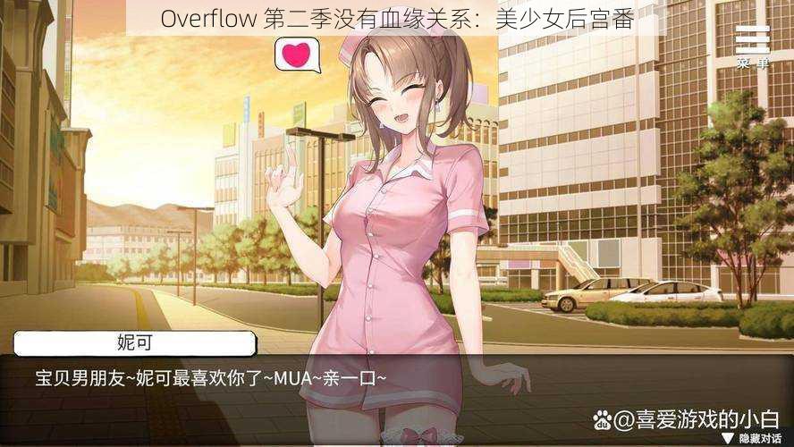 Overflow 第二季没有血缘关系：美少女后宫番