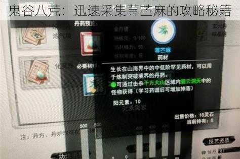 鬼谷八荒：迅速采集荨苎麻的攻略秘籍