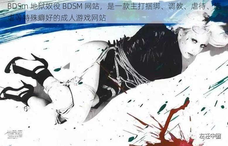 BDSm 地狱奴役 BDSM 网站，是一款主打捆绑、调教、虐待、施虐等特殊癖好的成人游戏网站