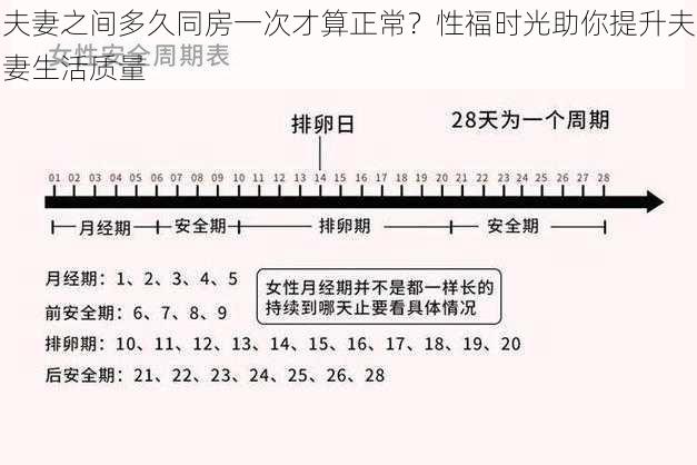 夫妻之间多久同房一次才算正常？性福时光助你提升夫妻生活质量