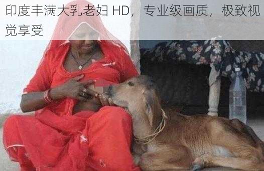 印度丰满大乳老妇 HD，专业级画质，极致视觉享受