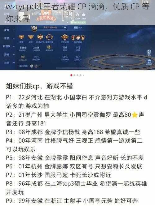 wzrycpdd 王者荣耀 CP 滴滴，优质 CP 等你来寻