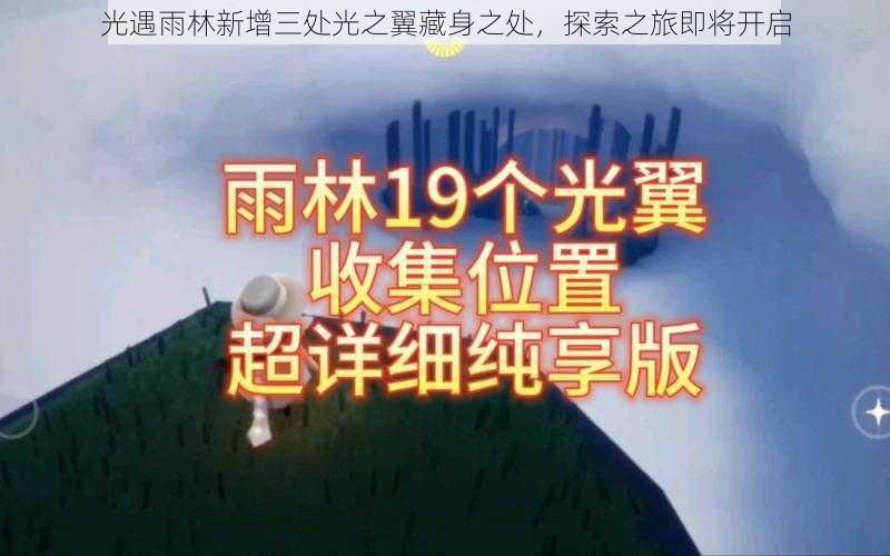 光遇雨林新增三处光之翼藏身之处，探索之旅即将开启