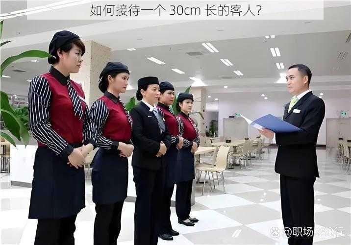 如何接待一个 30cm 长的客人？