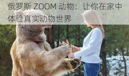 俄罗斯 ZOOM 动物：让你在家中体验真实动物世界