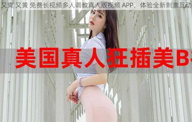 又爽 又黄 免费长视频多人调教真人版视频 APP，体验全新刺激互动