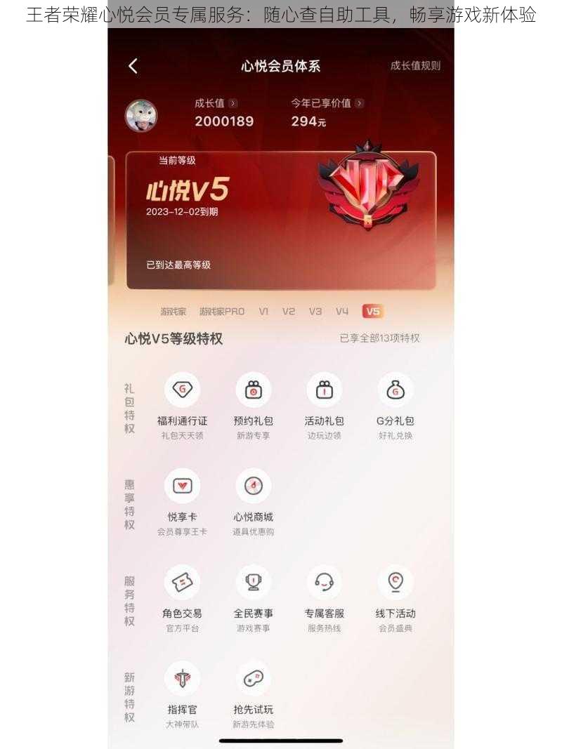王者荣耀心悦会员专属服务：随心查自助工具，畅享游戏新体验