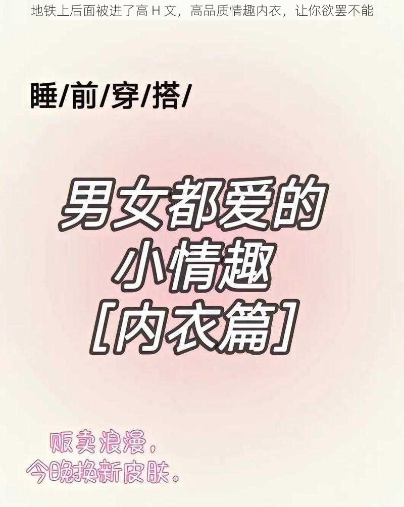 地铁上后面被进了高 H 文，高品质情趣内衣，让你欲罢不能