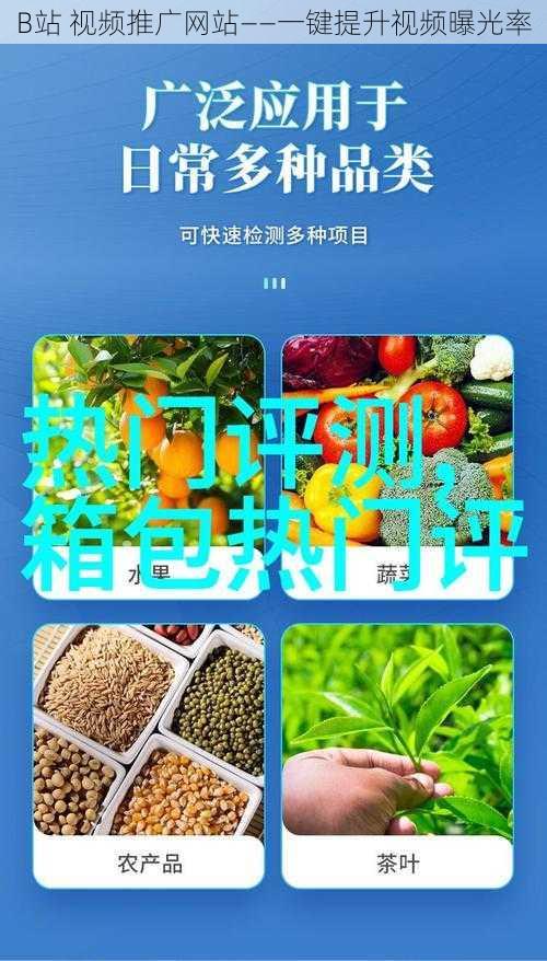 B站 视频推广网站——一键提升视频曝光率