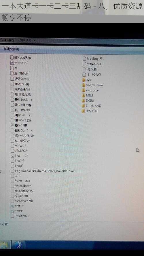 一本大道卡一卡二卡三乱码 - 八，优质资源畅享不停